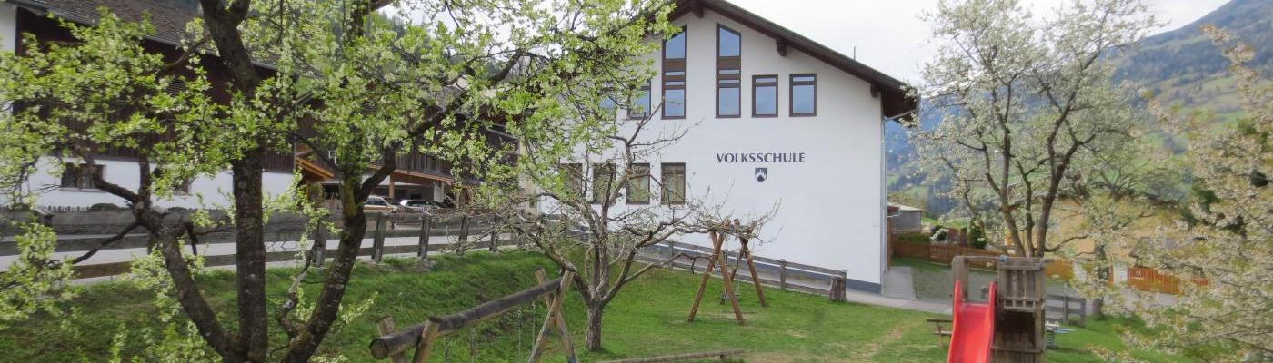 VS Wald 